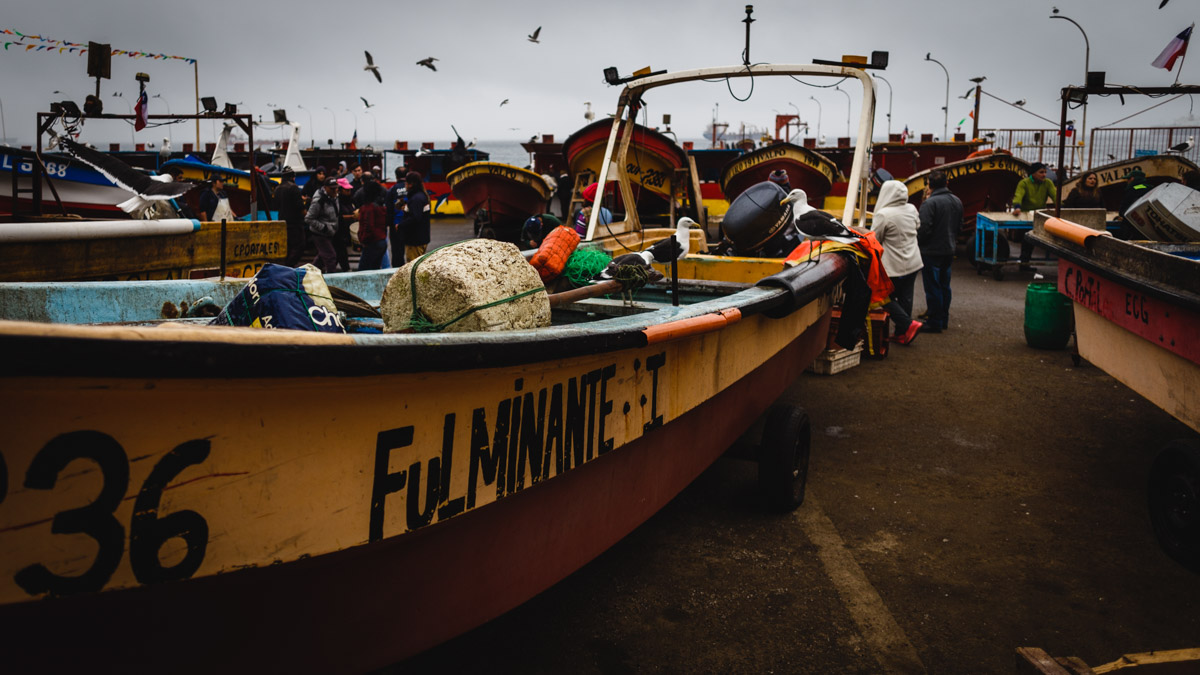 На рыбном рынке, Вальпараисо
