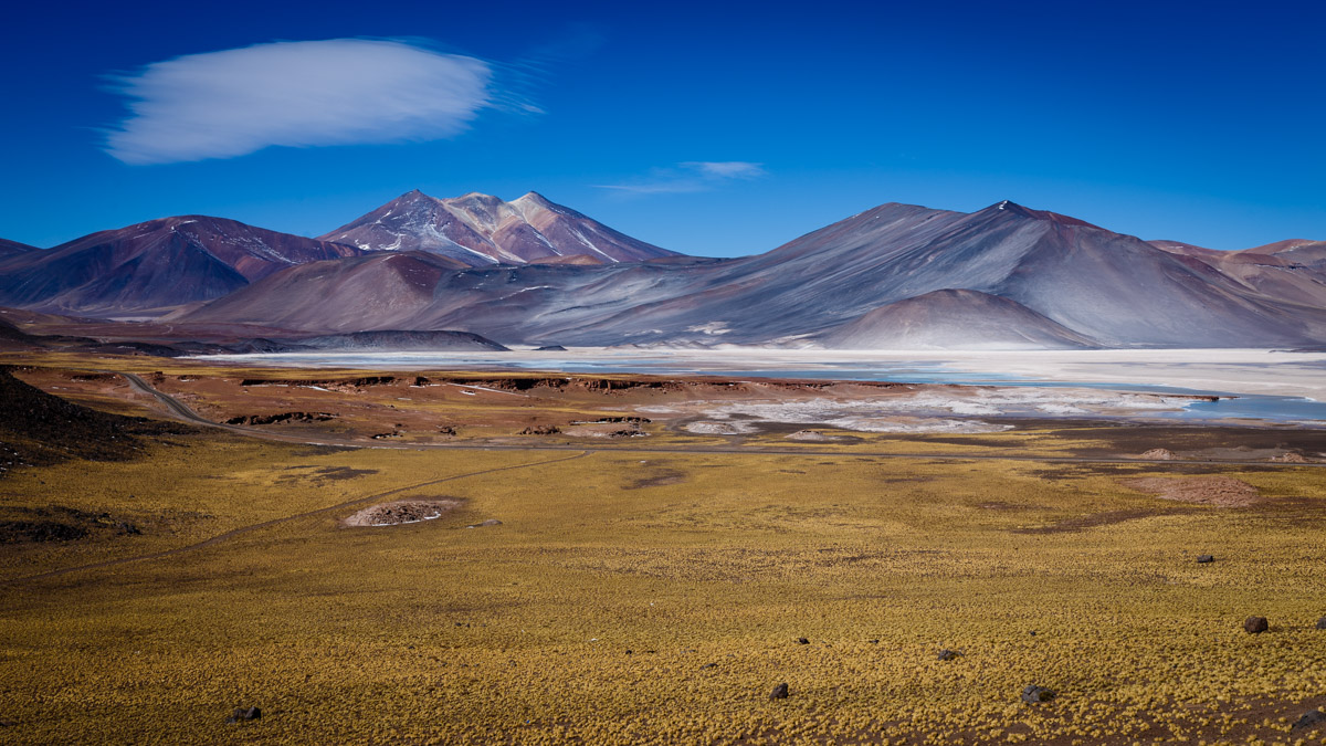 Lagune Piedras Rojas, désert d'Atacama