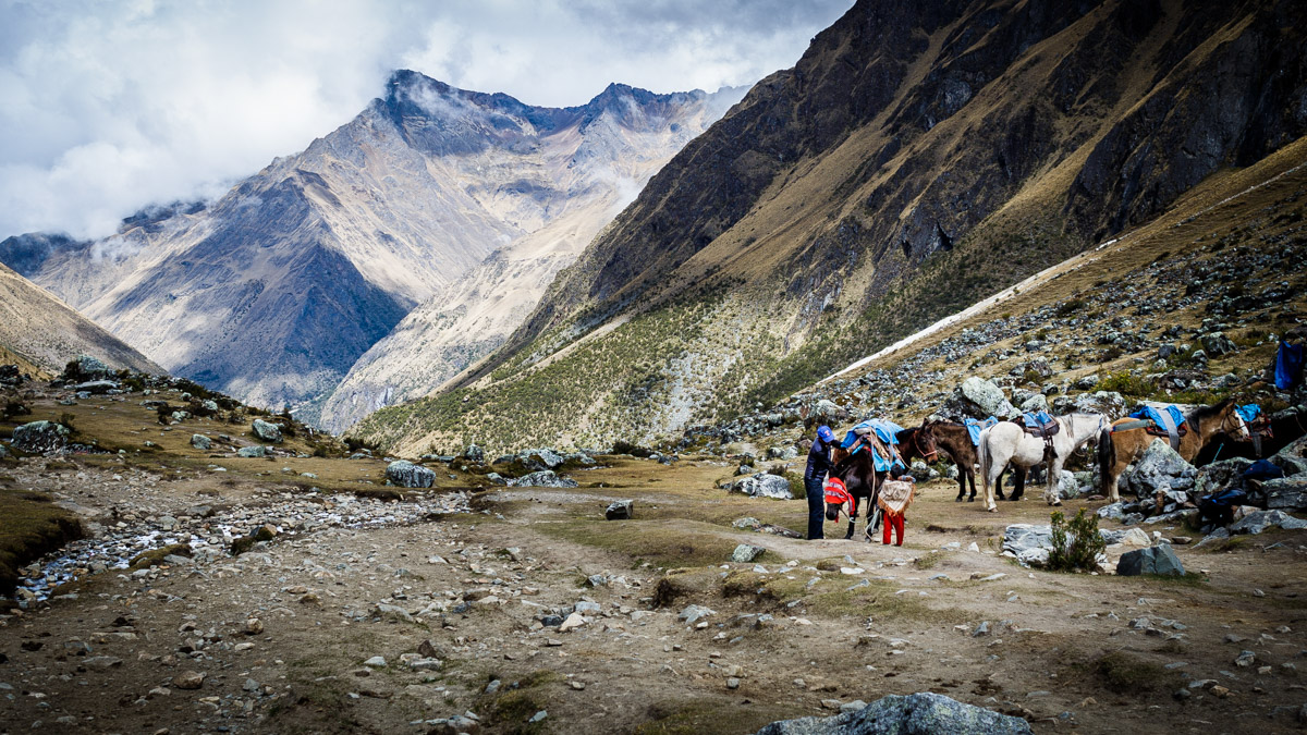 Trek du Salkantay, sur la route vers Machu Picchu
